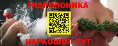 spice Нальчик