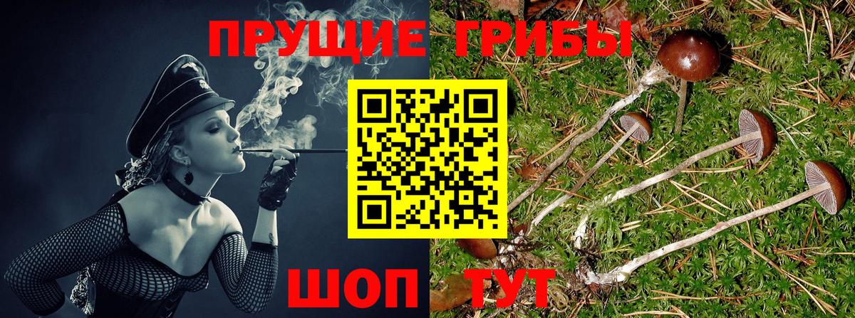 Электрогорск  Галлюциногенные грибы мицелий  Вход с VPN 